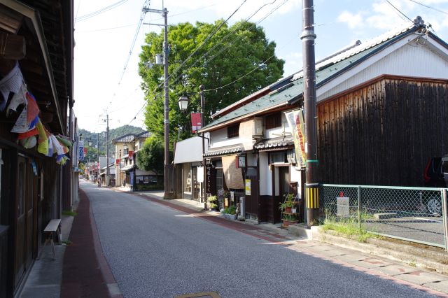 北側の風景。