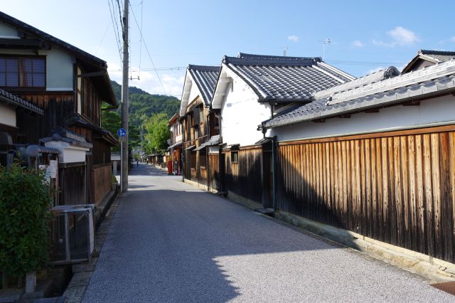 伝統的な建築の住宅が続きます。