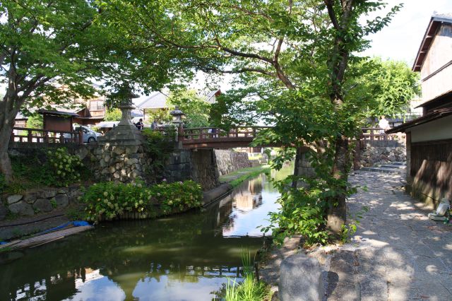 風情な白雲橋の風景。