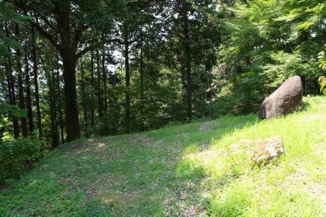 分岐した小さな曲輪。