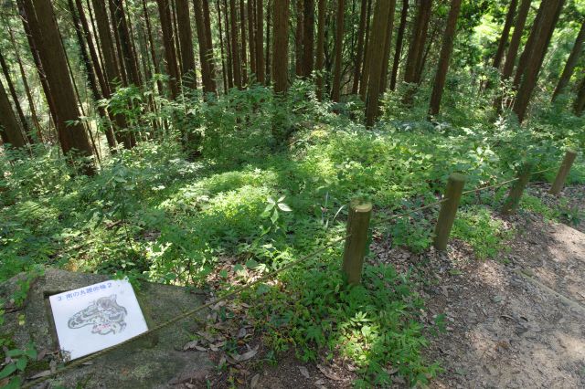 順路を進むと南の丸腰曲輪２。