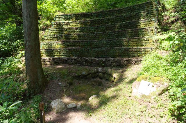 井戸があります。