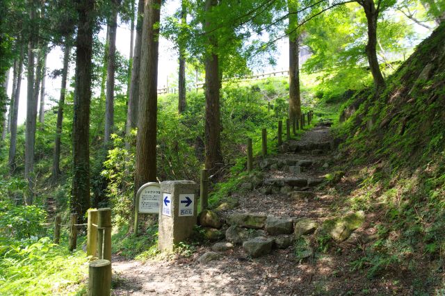 西の丸へと階段を登ります。