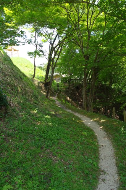 斜面の小路を進みます。ここも緑が心地よい。