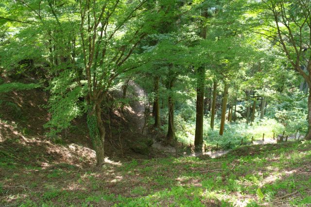 斜面下の通って来た道。