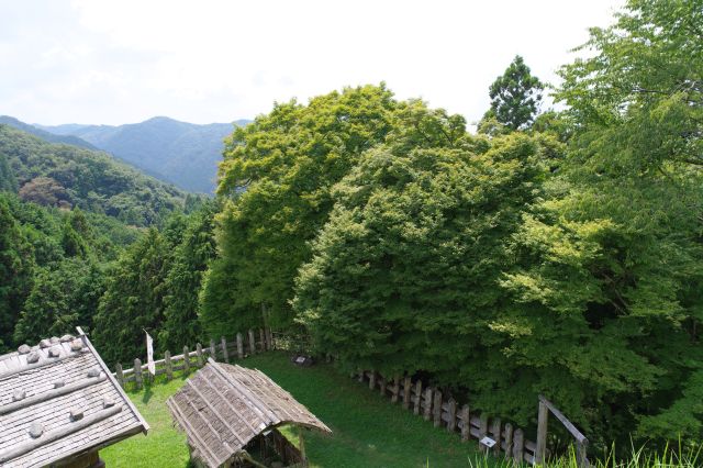 上った曲輪から眺望が良いです。右側、下の曲輪の一部。