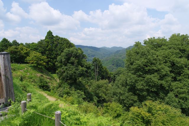 左側は山奥という感じ。