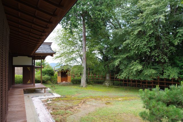 木々が迫る庭の空間。