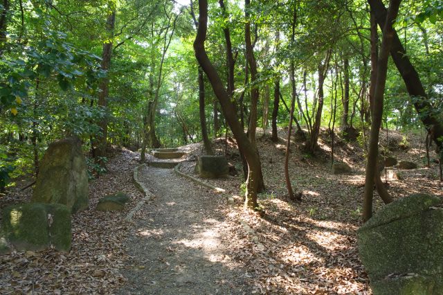 奥は鬱蒼とした木々。