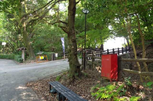 戻って中央部の橋へ。