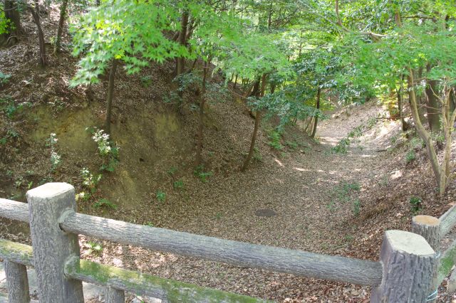 橋から見る空堀、本丸とを隔てます。