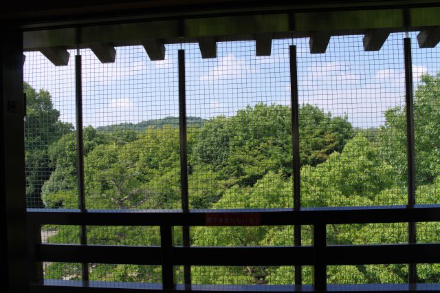 外は網目があります。