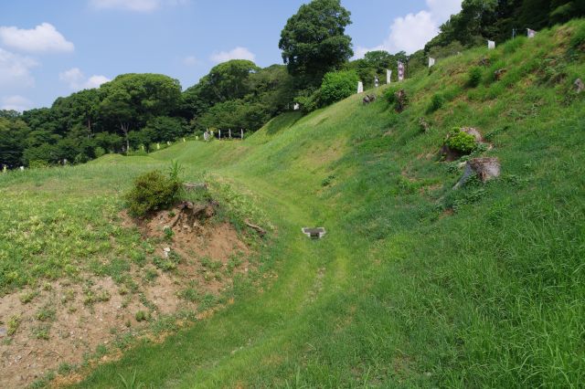 左側は山沿いに堀が続きます。
