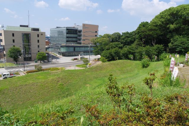 木の間から土塁と堀が見えます。