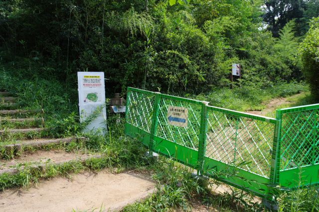 大手道は本来右折ですが発掘調査中のため直進します。