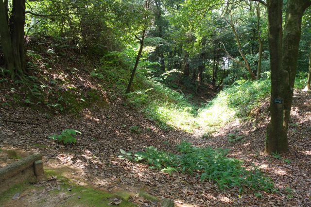 虎口aの遺構があります。