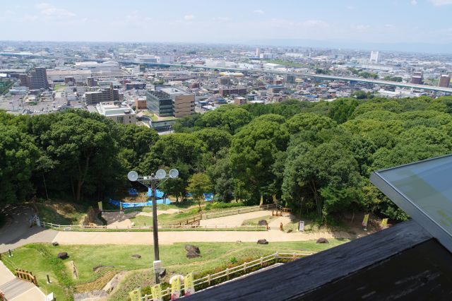 右側、登って来た道、奥に市役所の建物。