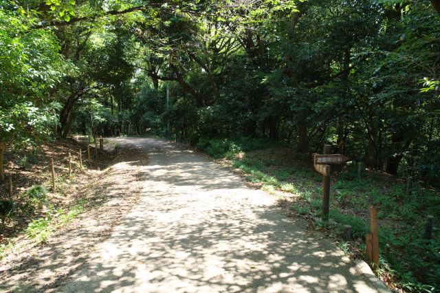 心地よい自然の遊歩道と言う感じです。