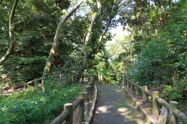 緑あふれる小道を進む、ひと気がなく虫が多め。