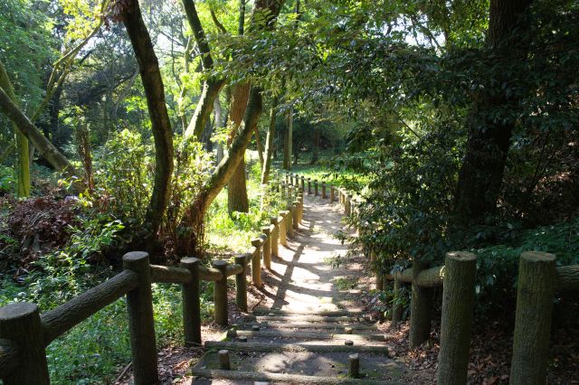 交差点の左側、本丸と二の丸の境付近。