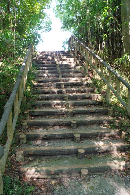 階段を登ります。