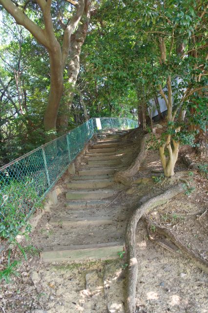 小さな階段を登る。