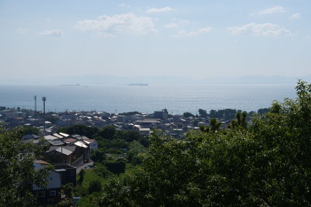 きらきらした海。