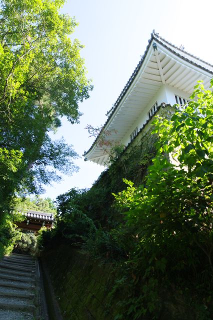 見上げる展望台。