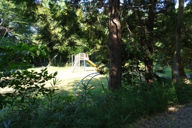 遊具のある公園の広場。