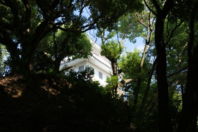 展望台下を回って進みます。