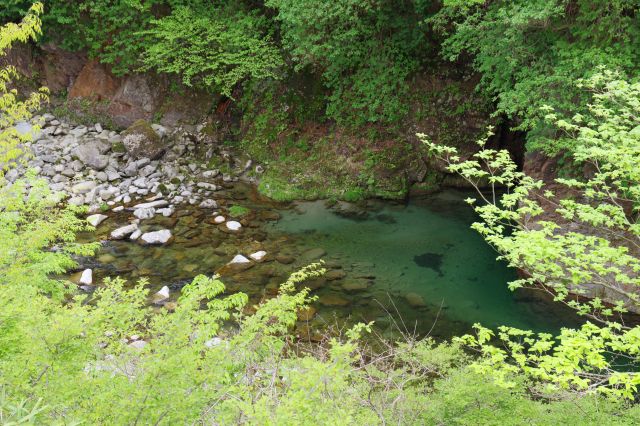 透明な渡良瀬川。
