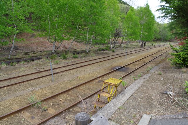渡った先、平行する線路群はかつての銅山関係の貨物のようです。
