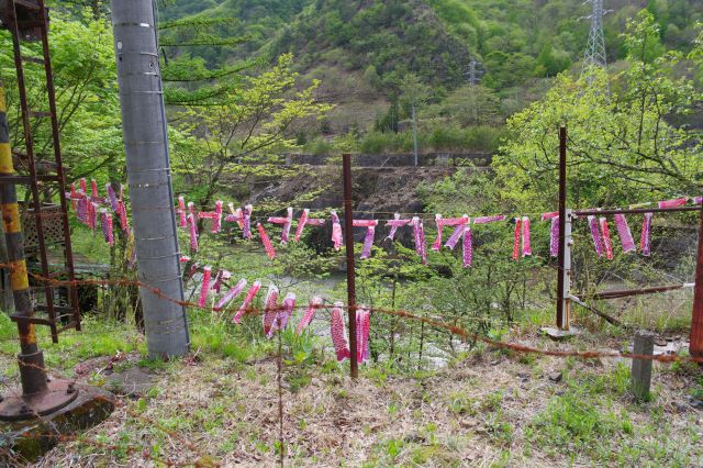 自由図書から線路の方へ伸びる鯉のぼりが連なります。