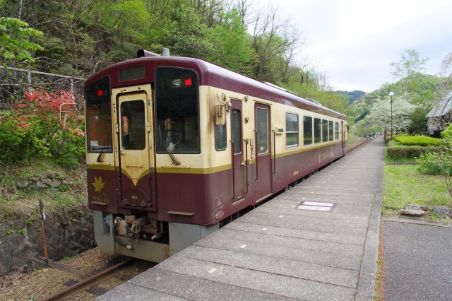 現在の「わ鉄」の主力車両。