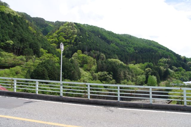 右側は対岸の緑の山並が続きます。