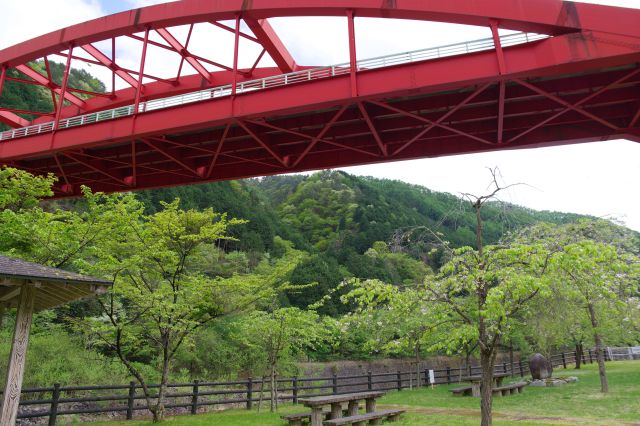 緑と赤、静かな憩いの場です。