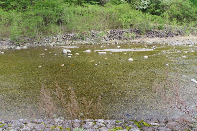 透き通ったきれいな水。