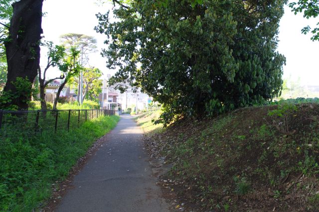 坂を登りきって視界が開けます。