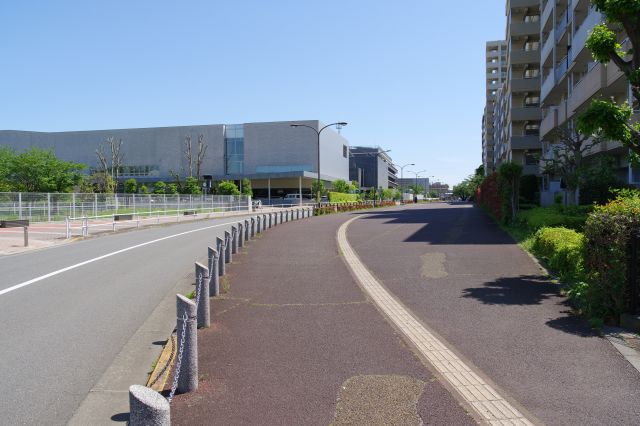 カーブして歩道が広がって行きます。