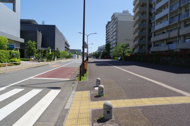 直線の道の史跡は続きますが横断歩道を渡ります。