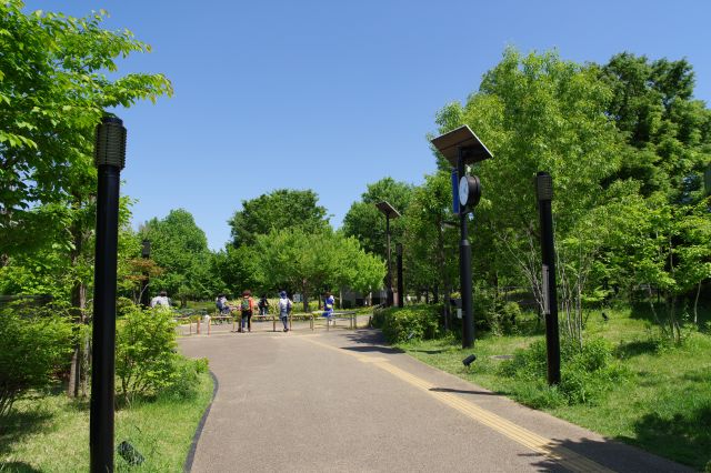 緑あふれる遊歩道を進みます。