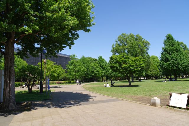 きれいに整備され心地よい木々が点在し自然の香りが漂う。タイルの道が囲う芝生の円形広場です。