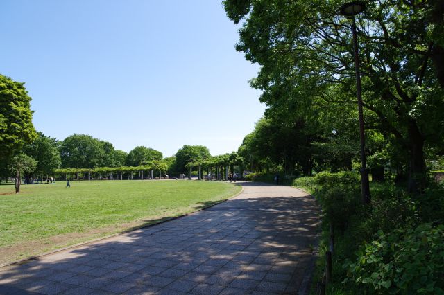 右側から周って行きます。