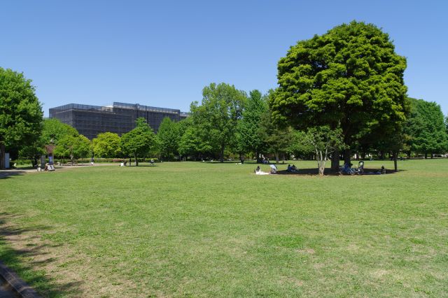 気持ち良い憩いの場です。