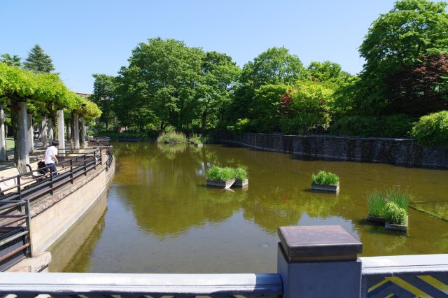 武蔵の池（左）。