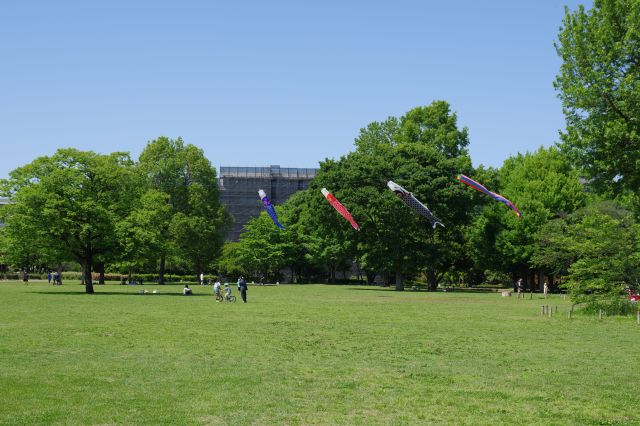 広場では遊ぶ人々と鯉のぼり。