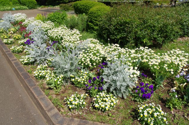花壇があります。