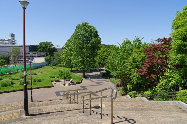 出会いの広場の上に出ました。