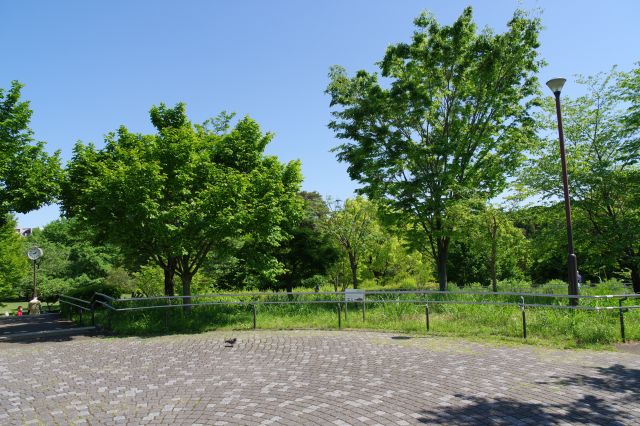 南側のこもれび広場へ。