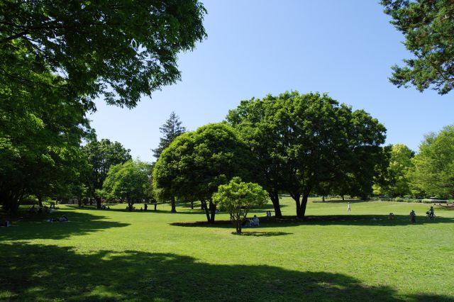 都会から離れたような憩いの場です。